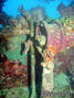 foto de buceo