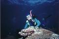 scuba diving photo