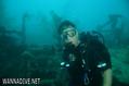 scuba diving photo