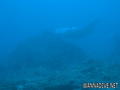 foto de buceo