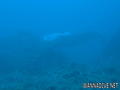 foto de buceo