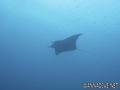 foto de buceo
