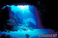 scuba diving photo
