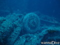 scuba diving photo