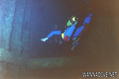 scuba diving photo