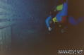 scuba diving photo