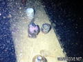 scuba diving photo