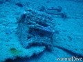 scuba diving photo
