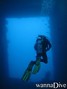 scuba diving photo