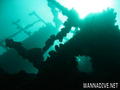 scuba diving photo