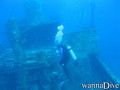 scuba diving photo