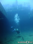 scuba diving photo