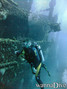 scuba diving photo
