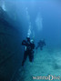 scuba diving photo