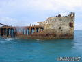 scuba diving photo