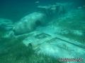 scuba diving photo