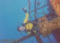 scuba diving photo