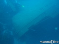 scuba diving photo