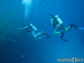 scuba diving photo