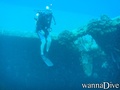 scuba diving photo