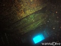 scuba diving photo