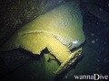scuba diving photo