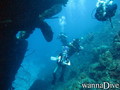 scuba diving photo