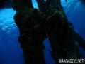 scuba diving photo