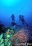 scuba diving photo