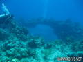 scuba diving photo