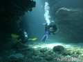 scuba diving photo