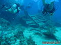 scuba diving photo