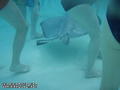 scuba diving photo