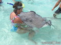 scuba diving photo
