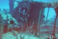 scuba diving photo