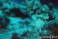scuba diving photo
