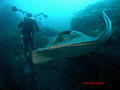 scuba diving photo