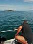 scuba diving photo