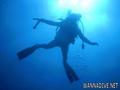scuba diving photo