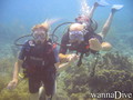 scuba diving photo
