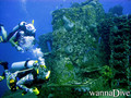 scuba diving photo