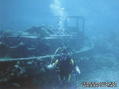 scuba diving photo