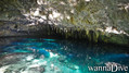 scuba diving photo