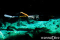 scuba diving photo