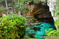 scuba diving photo