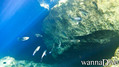 scuba diving photo