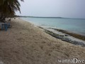scuba diving photo