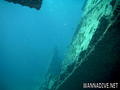 scuba diving photo