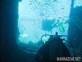 scuba diving photo