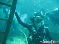 scuba diving photo